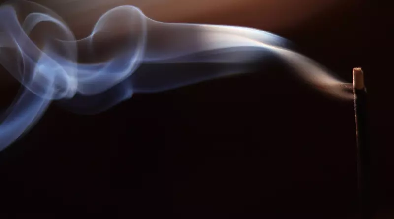 멘솔이 첨가된 전자담배가 더 심한 폐 손상을 일으키는 것으로 나타났다. pixabay